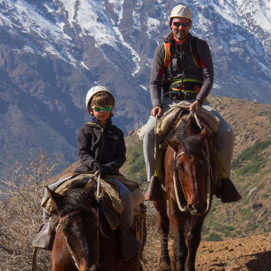 programas-familiares